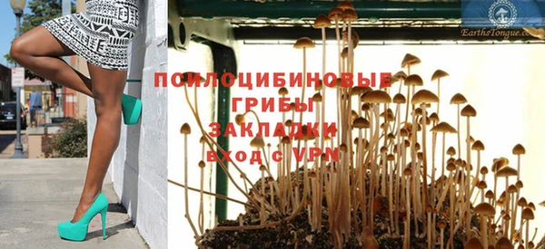 стафф Осинники