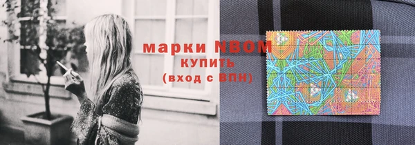 стафф Осинники