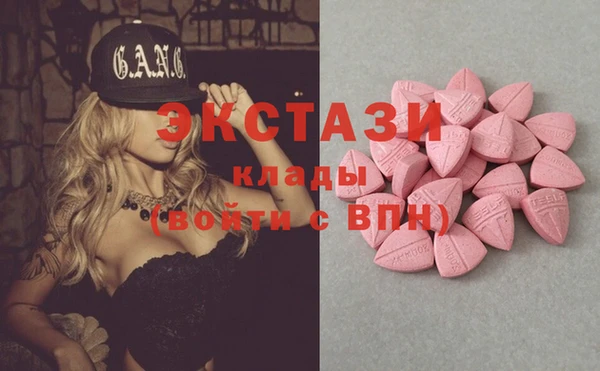 стафф Осинники
